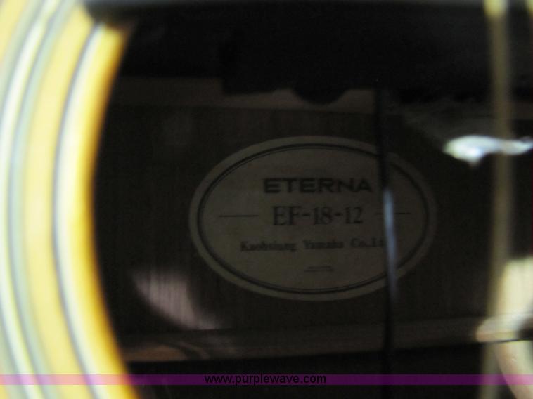 image for item 5332 Eterna acoustic guitar with case and leather sling