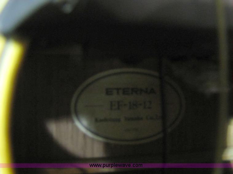 image for item 5332 Eterna acoustic guitar with case and leather sling