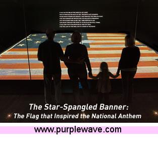 image for item 1029 VIP Tour of Washington, D.C. 