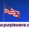 image for item 1030 U.S. Flag Flown Over Capitol