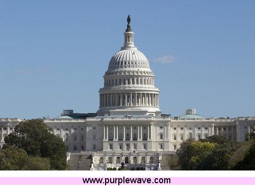 image for item 1030 U.S. Flag Flown Over Capitol