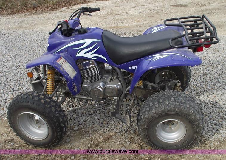 image for item 5487 2005 Trail Blazer 250 ATV