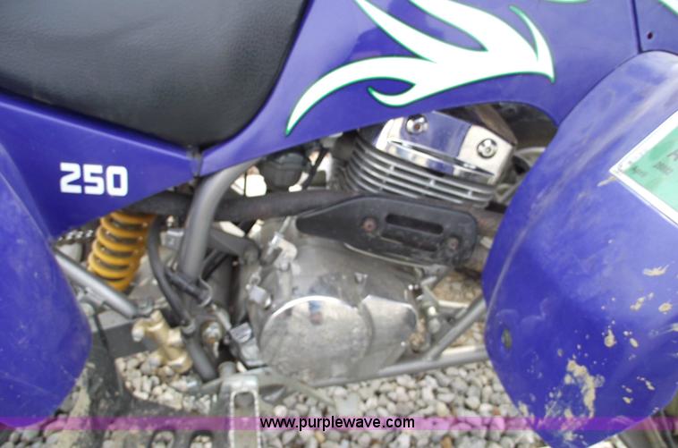 image for item 5487 2005 Trail Blazer 250 ATV