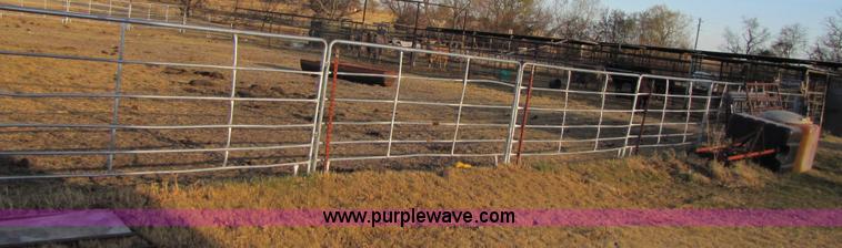 image for item 3673 Calf roping chute with panels