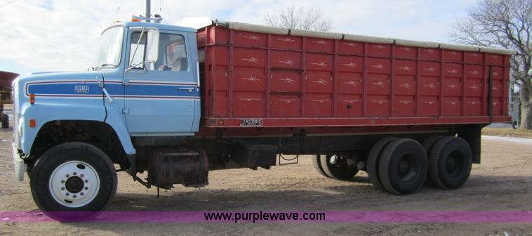 image for item 3353 1981 Ford LNT8000 tandem grain truck