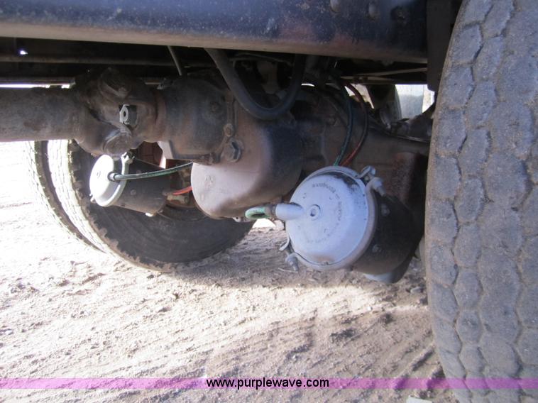 image for item 3353 1981 Ford LNT8000 tandem grain truck