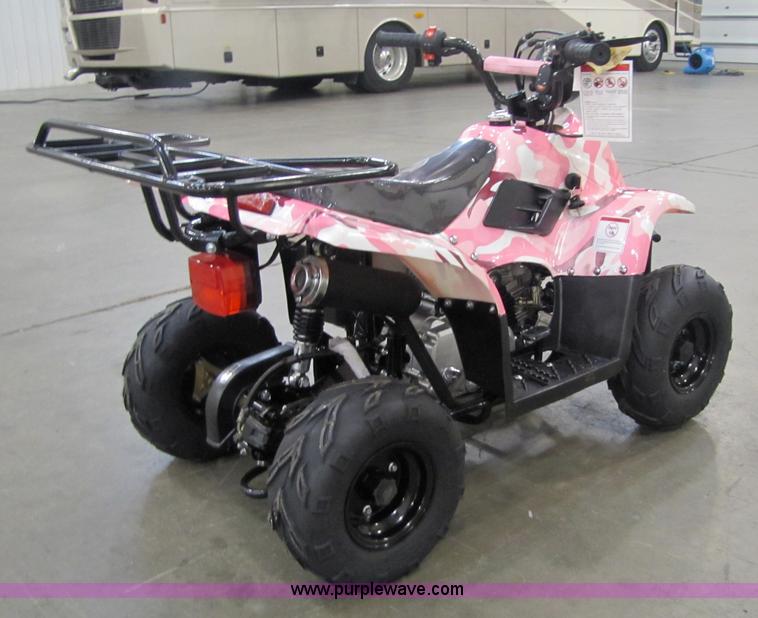 image for item 5191 Tao Tao ATA110-B ATV