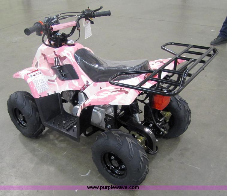 image for item 5191 Tao Tao ATA110-B ATV