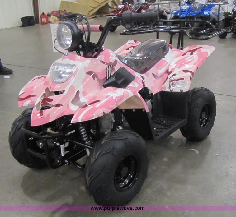 image for item 5191 Tao Tao ATA110-B ATV