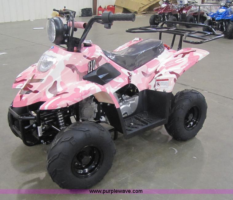 image for item 5191 Tao Tao ATA110-B ATV