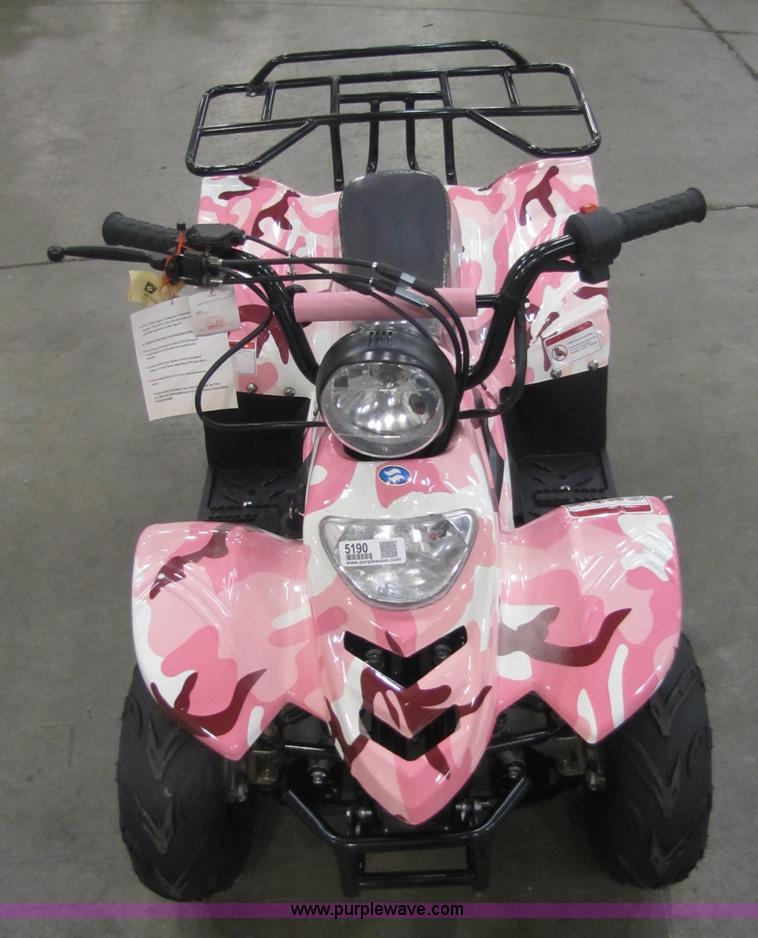 image for item 5191 Tao Tao ATA110-B ATV