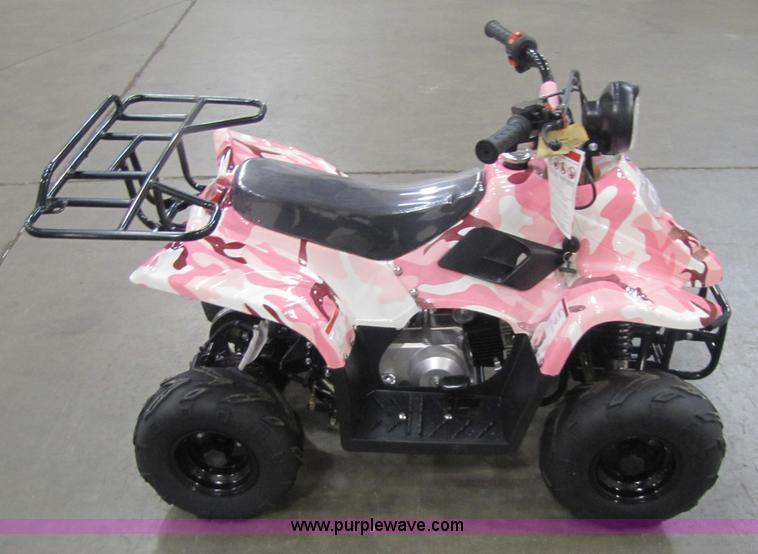 image for item 5191 Tao Tao ATA110-B ATV