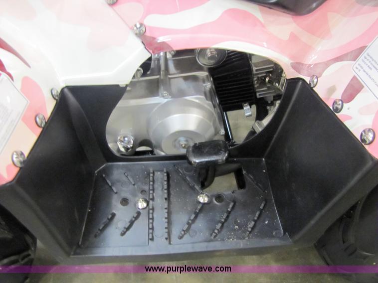 image for item 5191 Tao Tao ATA110-B ATV