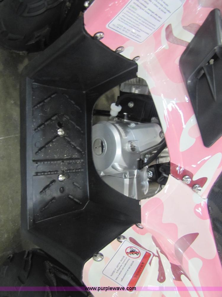 image for item 5191 Tao Tao ATA110-B ATV