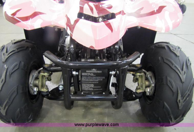 image for item 5191 Tao Tao ATA110-B ATV