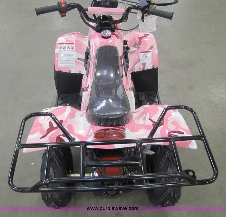 image for item 5191 Tao Tao ATA110-B ATV