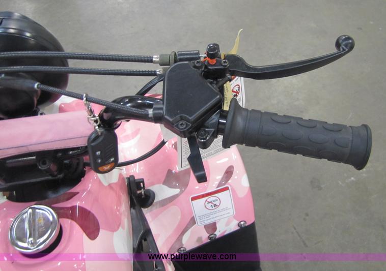 image for item 5191 Tao Tao ATA110-B ATV