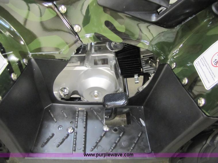 image for item 5192 Tao Tao ATA110-B ATV