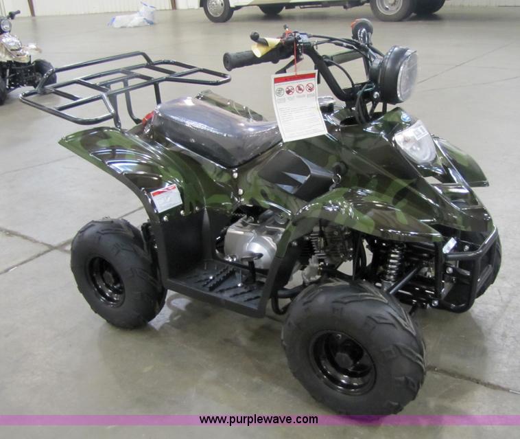 image for item 5193 Tao Tao ATA110-B ATV