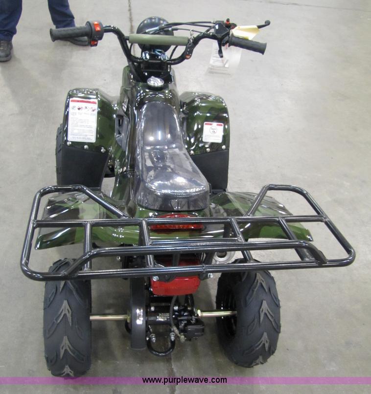 image for item 5193 Tao Tao ATA110-B ATV