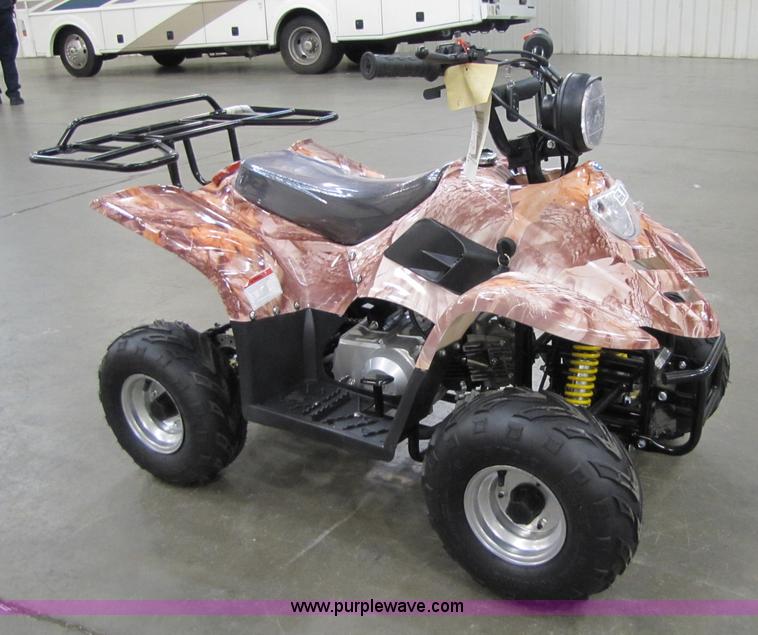 image for item 5194 Tao Tao ATA110-B ATV