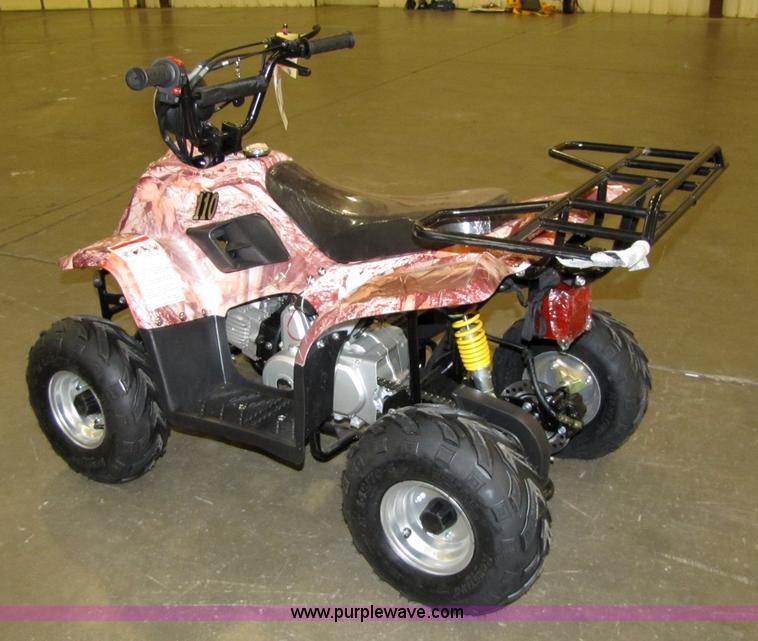 image for item 5194 Tao Tao ATA110-B ATV