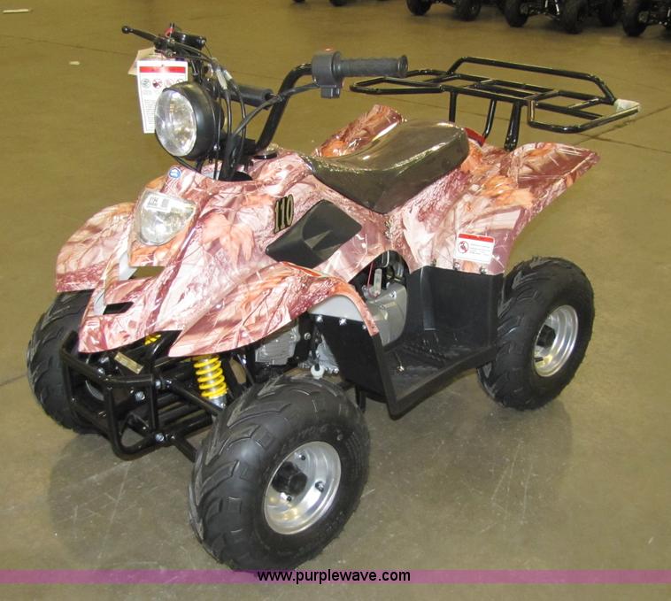 image for item 5194 Tao Tao ATA110-B ATV