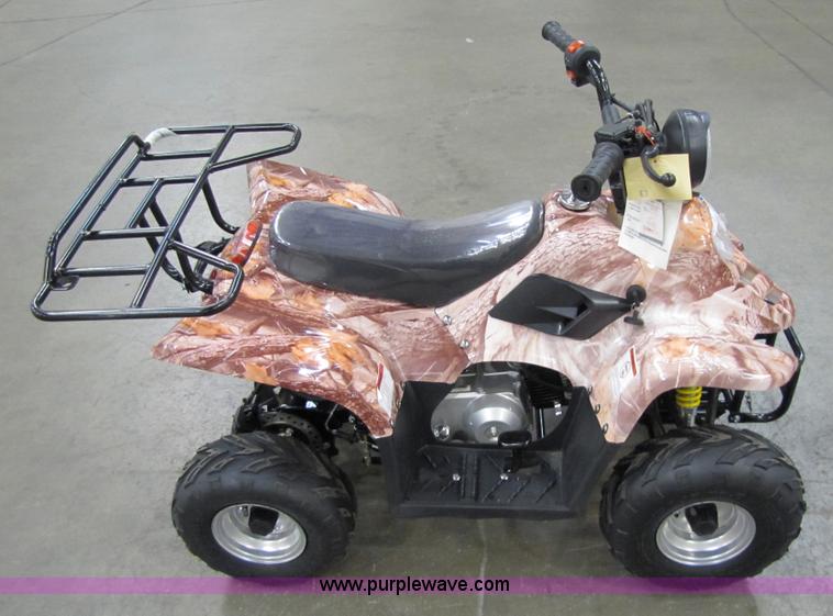 image for item 5194 Tao Tao ATA110-B ATV