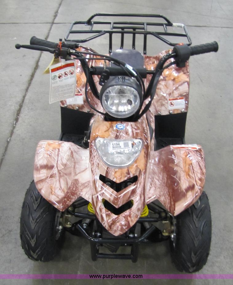 image for item 5194 Tao Tao ATA110-B ATV