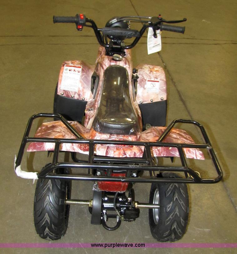 image for item 5194 Tao Tao ATA110-B ATV