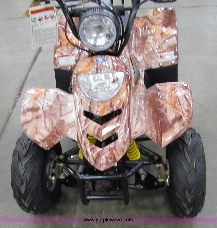 image for item 5194 Tao Tao ATA110-B ATV