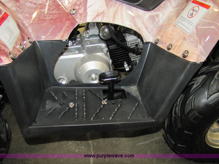 image for item 5194 Tao Tao ATA110-B ATV