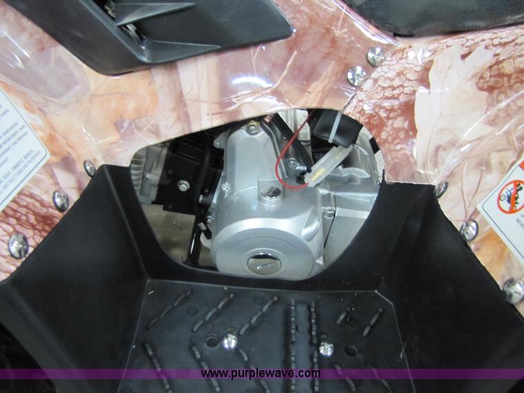 image for item 5194 Tao Tao ATA110-B ATV