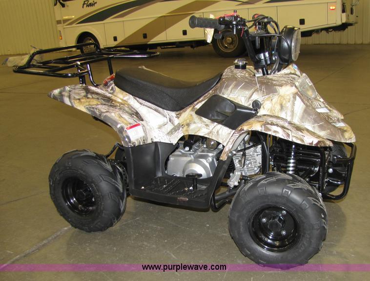 image for item 5195 Tao Tao ATA110-B ATV