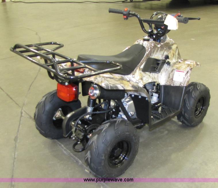 image for item 5195 Tao Tao ATA110-B ATV