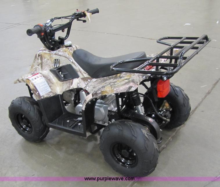 image for item 5195 Tao Tao ATA110-B ATV