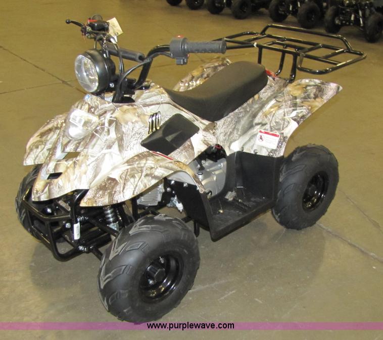 image for item 5195 Tao Tao ATA110-B ATV