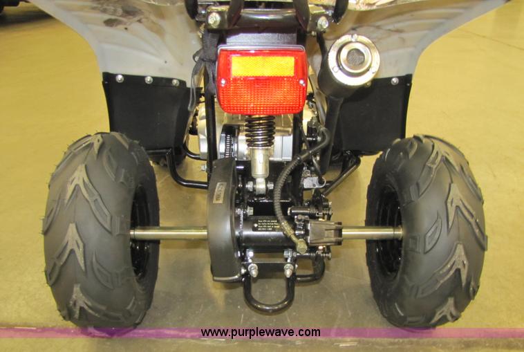 image for item 5195 Tao Tao ATA110-B ATV