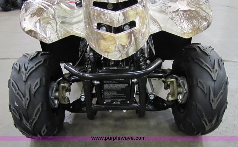 image for item 5195 Tao Tao ATA110-B ATV