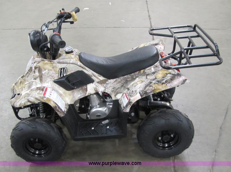 image for item 5195 Tao Tao ATA110-B ATV