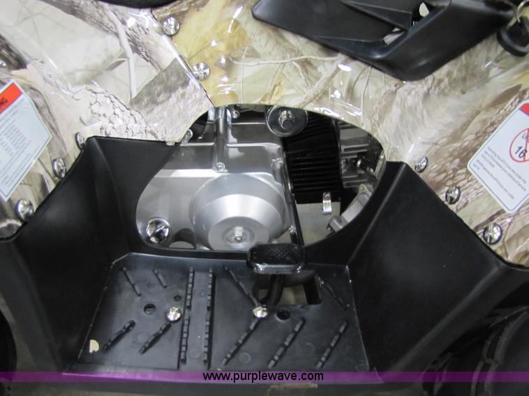 image for item 5195 Tao Tao ATA110-B ATV