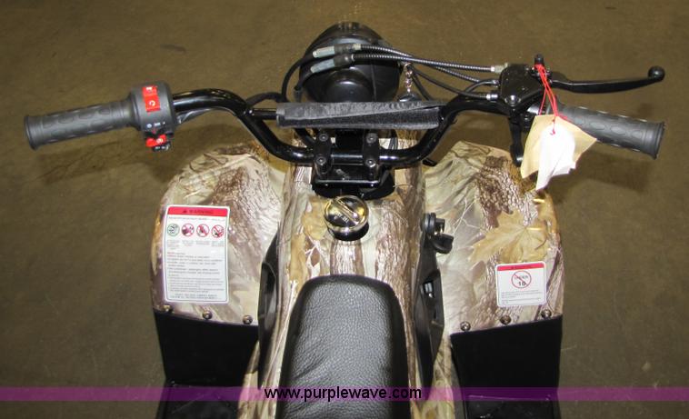 image for item 5195 Tao Tao ATA110-B ATV