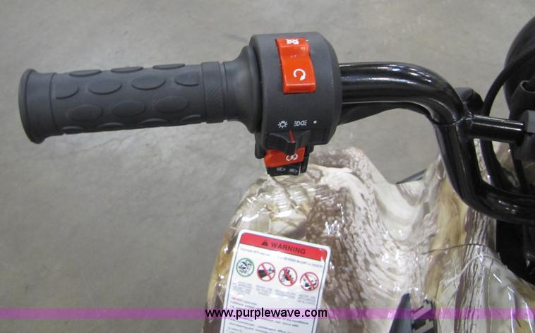 image for item 5195 Tao Tao ATA110-B ATV