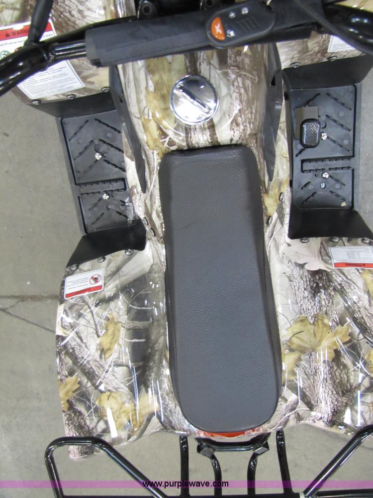 image for item 5195 Tao Tao ATA110-B ATV