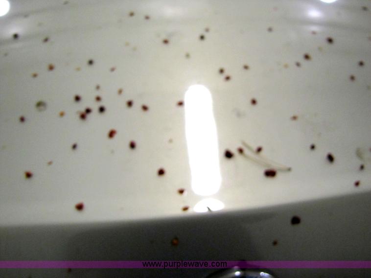 image for item 5328 2004 Mercury Grand Marquis GS