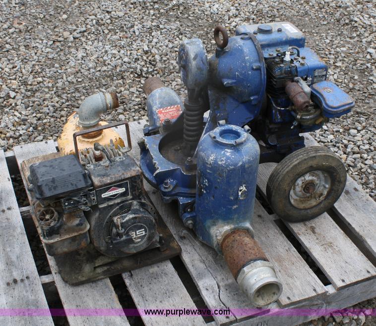 image for item 5037 (2) pumps