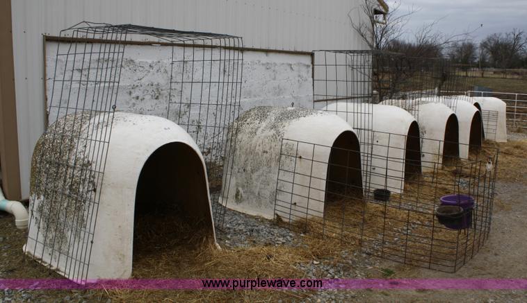 image for item 4937 (7) calf huts