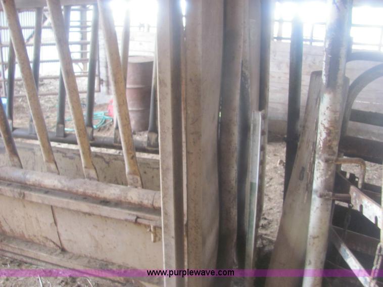 image for item 6934 C & S 5K hydraulic cattle chute