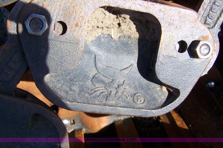 image for item 7375 Bobcat tracks