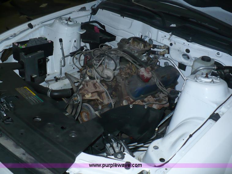 image for item 5877 2008 Ford Mustang Shelby GT500 body